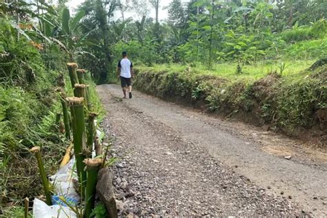 Jalan Rusak Di Desa Klungkung Jember Terkesan Dibiarkan Tahun Belum