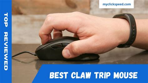 Best Claw Grip Mouse Top Reviewed My Click Speed