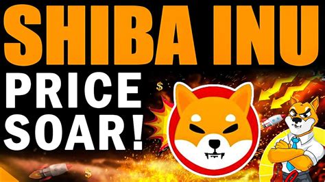 Shiba Inu Shib Prices Soar After A Massive Rally Youtube