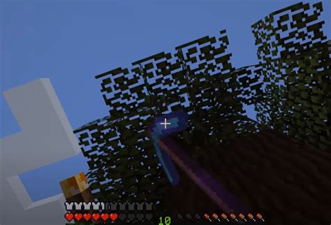 How To Grow Dark Oak Trees In Minecraft