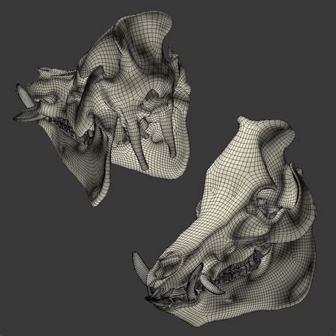 Череп кабана 3D Модель $39 - .3ds .fbx .obj .max - Free3D