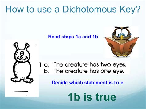 Dichotomous Key Presentation Suitable For Igcse Biology Level Ppt