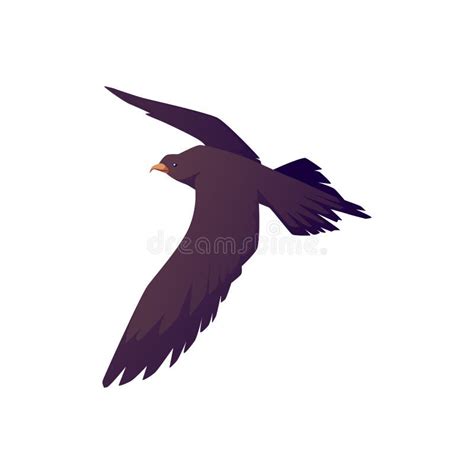 Flying Seabird Silhouette Stock Illustrations 254 Flying Seabird
