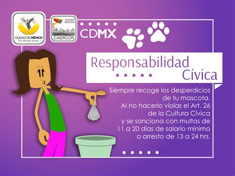 Ley De Cultura Civica De La Cdmx