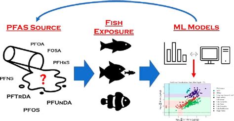 Pfas In Fish Helbling Research Group