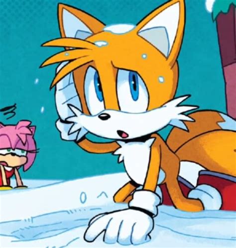 Idw Sonic Winter Jam Features Excellent Artwork Especially Of The