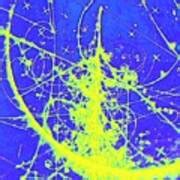 Particle Tracks In Bubble Chamber Photograph By Cern P Loiez Science