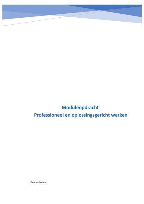 Eindopdracht Module Professioneel En Oplossingsgericht Werken