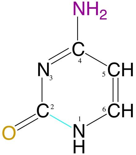 BioChem Exam 2 Flashcards Quizlet