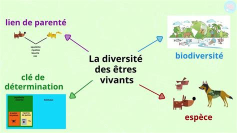 La Diversit Des Tres Vivants Pour Cm Et Cm Ma Tre Lucas