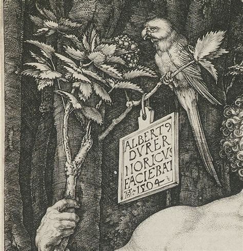 Dürer - Adam and Eve, detail [1504] | Albrecht Dürer [1471-1… | Flickr