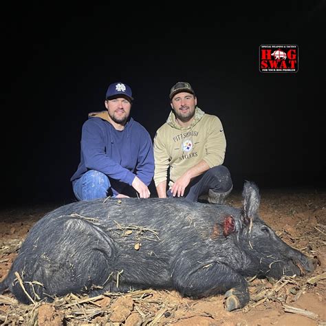 Wild Boar Hunting Hog S W A T Guided Night Hog Hunt Southwest