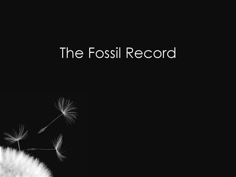 The Fossil Record Ppt Download