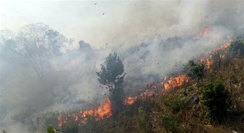 M S De Hect Reas De Terreno Han Sido Consumidas Por Un Incendio En