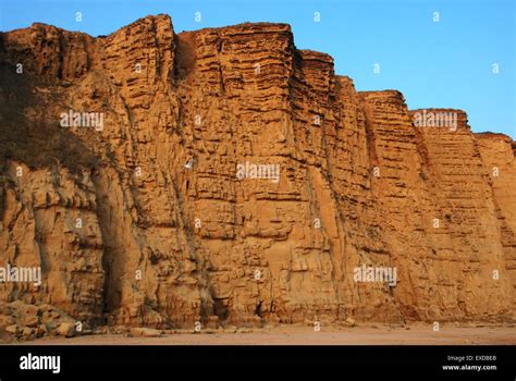 Steep Sandstone Cliffs Of West Bay Dorset Uk Part Of The Jurassic Coast Of South Coast Of