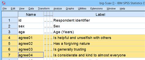 Cronbachs Alpha In SPSS The Ultimate Guide