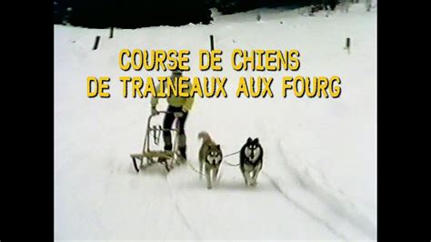 Chiens De Traineaux Aux Fourgs Archives T L Saugeais Youtube