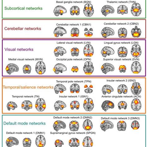 Resting State Networks Spatial Maps Of The 27 RSNs Obtained From The