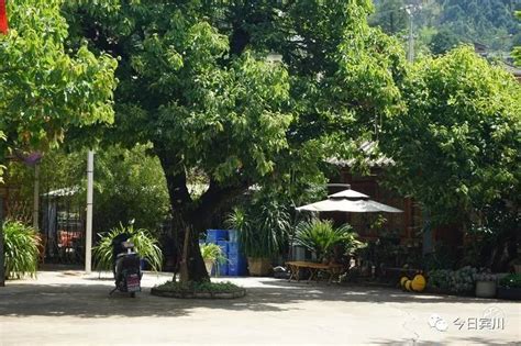 【大兴调查研究 记者走基层】鸡足山镇寺前村：旅游带富小山村 Isenlincn