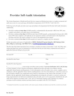 Fillable Online Dhss Alaska Provider Self Audit Attestation Form