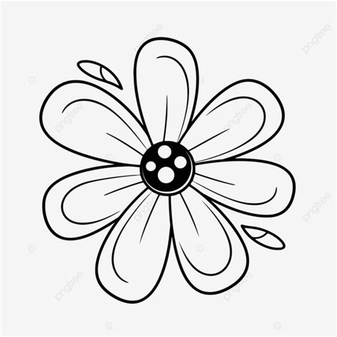 Dibujo De Para Flor Imagen Vectorial Ilustrativa Vector Off