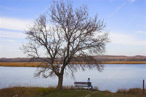 Prairie trees Stock Photo by ©georgeburba 2275837