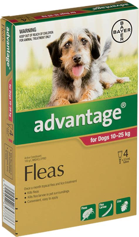 Advantage Flea Treatment For Dogs 10 25kg Reviews Black Box