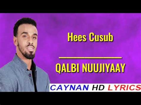 Hees Cusub L Qalbi Nuujiyayaay L Suldaan Sareer Edited Caynan Hd Lyrics