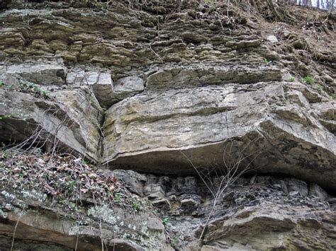 Lower Mercer Limestone Middle Pennsylvanian Rock Cut Mu Flickr