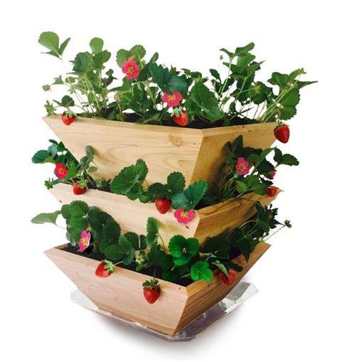 40 Diy Strawberry Planter Ideas For Container Planting