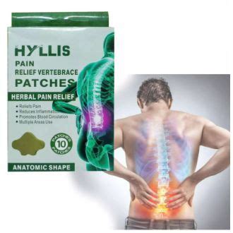 Back Pain Patch 10 patches Herbal Pain Relief Shoulder Back Knee Relief ...