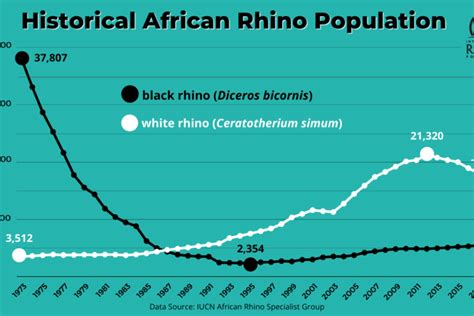 Bull Run South Africa Marks Latest Rhino Relocation To Boost Populations