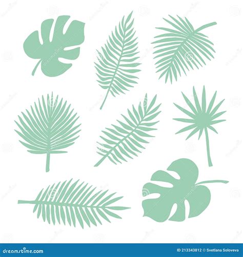 Conjunto Vectorial De Hojas De Palma De Menta Y De Monstera Ilustraci N