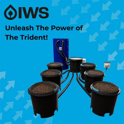 Unleash The Power Of The Trident Hytec Horticulture