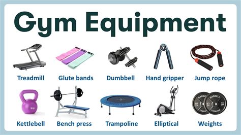 List Of All Gym Equipment | atelier-yuwa.ciao.jp