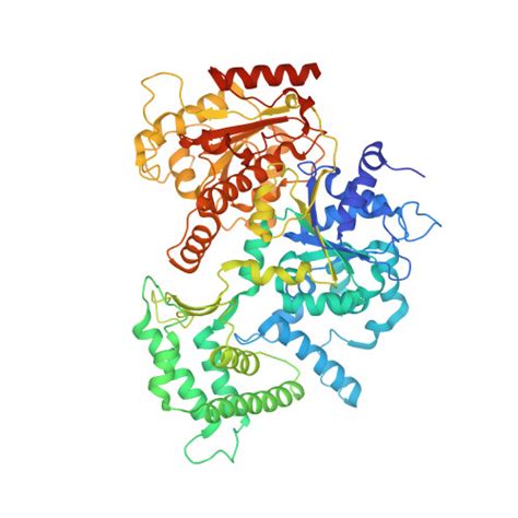 Gene P Protein Ercc Overview Cansar Ai