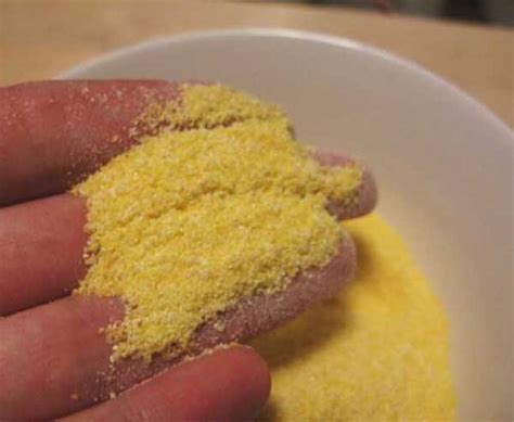 Cornmeal Cooking Wiki