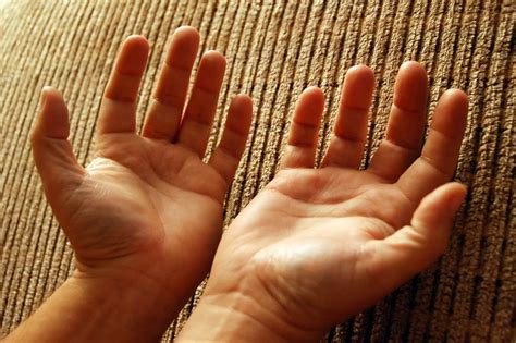 Relación Entre la Mano y el Cerebro Beneficios de Escribir a Mano