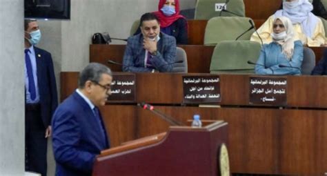 Algeria Parliament Adopts Constitutional Reforms