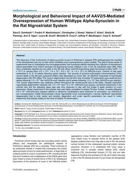 PDF Morphological And Behavioral Impact Of AAV2 5 Mediated