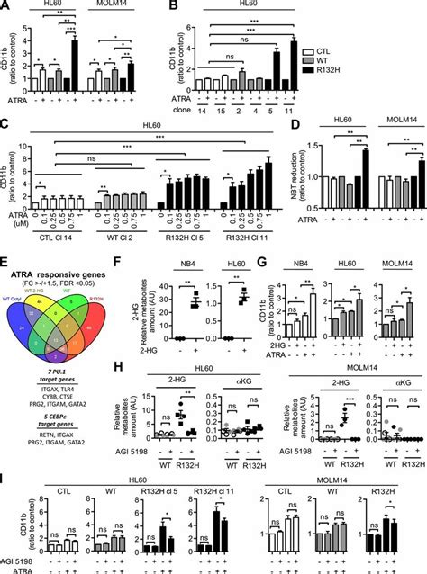 Idh R H Mutation Sensitizes To Atra Induced Differentiation Of Aml