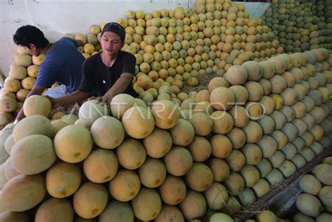 Permintaan Buah Meningkat Saat Ramadhan Antara Foto