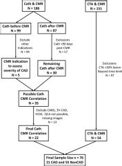 Fully Quantitative Pixel Wise Analysis Of Cardiovascular Magnetic