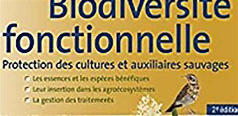 Les oiseaux prédateurs de termites une solution naturelle contre les