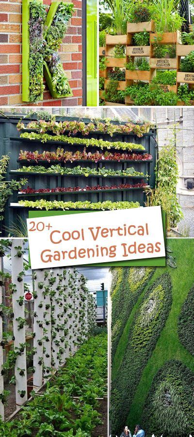 20 Cool Vertical Gardening Ideas 2023