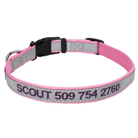 GoTags Reflective Personalized Pink Dog Collar with Custom Embroidery ...