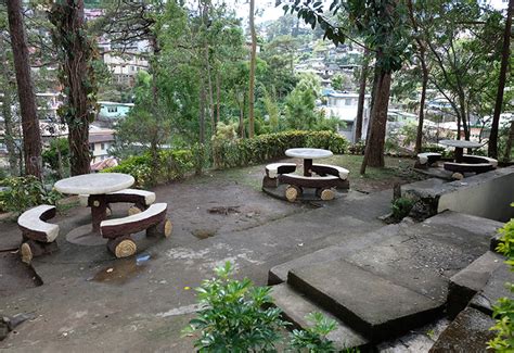 Home Pine Breeze Cottages Hotel In Baguio Pine Breeze Cottages