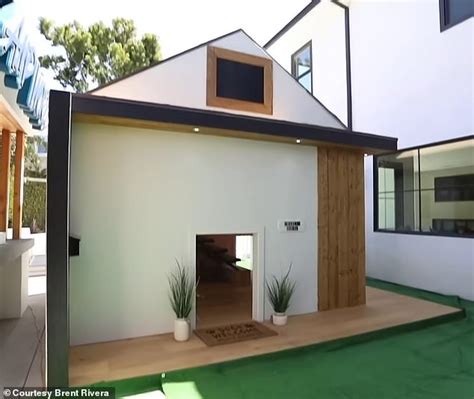 Man Builds 20000 Dream House For His Dog That Includes Mini Fridge