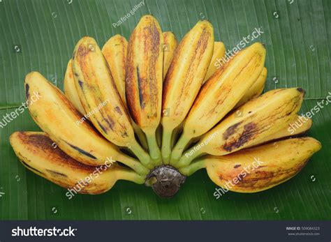 948 Banana Saba Stock Photos, Images & Photography | Shutterstock