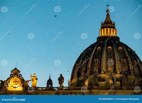 Rome Flock Of Birds Flying Over Illuminated Facade Of The Saint Peter